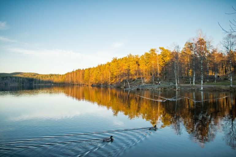 Olympiatoppen Sportshotell, Oslo, exterior, surroundings, nature