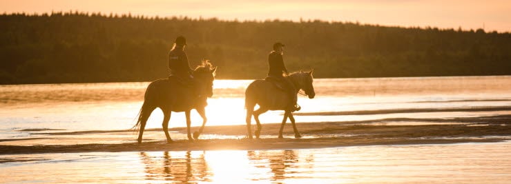 Efterår i Rovaniemi | Scandic Hotels