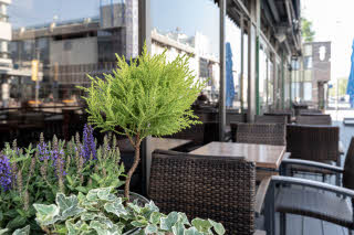Terrace Seating