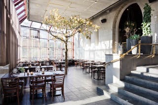 Restaurant Brasseriet Tree Scandic Swania