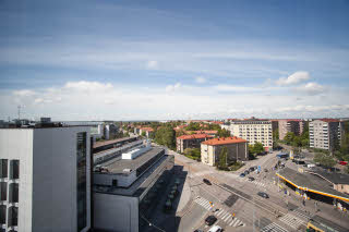 Superior view