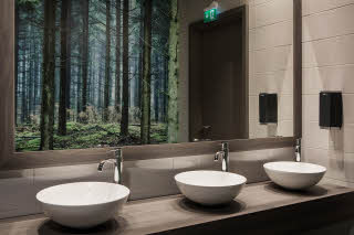 Bathroom detail 