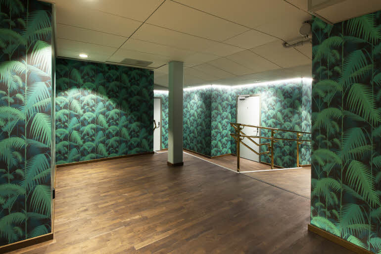St. Olavs plass, green palm room
