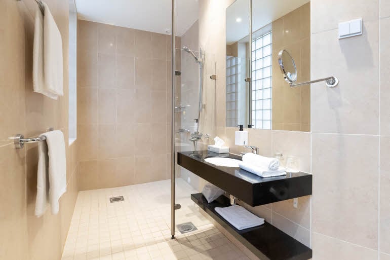 Standard bathroom 