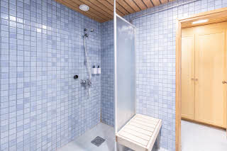 Superior Sauna, bathroom 
