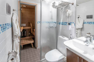 Superior Sauna, bathroom