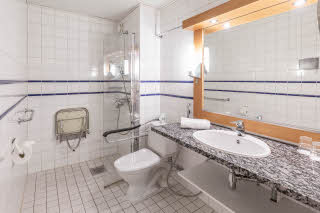 Superior plus bathroom 