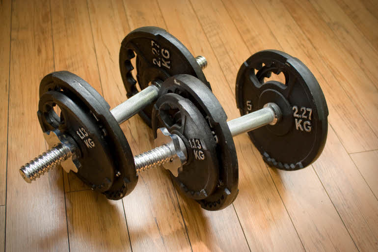 Dumbells gym Scandic