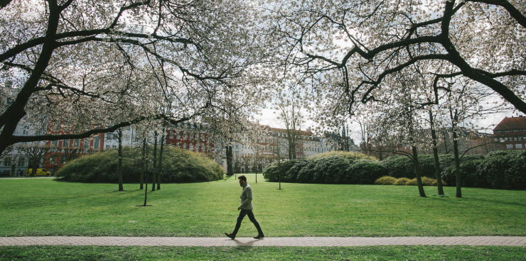 Mand går tur i Kongens Have